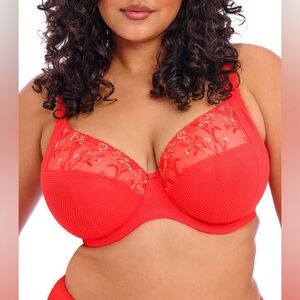 Elomi Charley Plunge Bra - Salsa - 32L